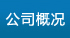 公司簡(jiǎn)介